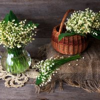 Ландыши :: Владимир Гришин