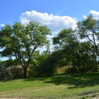 *** :: Виктор *** :: Виктор