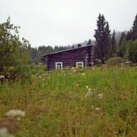 Старая изба. :: ВикТор Быстров