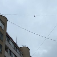 Высший пилотаж (9-й этаж). Норматив ГТО выполнен! :: Егор Бабанов