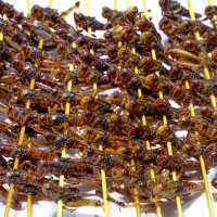 Кулинария по китайский :: Георгий А