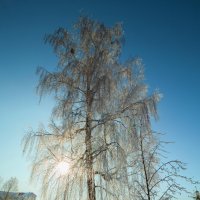 Б/Н :: Николай Б/Н :: Николай