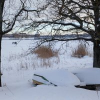 Лодки под снегом :: Наталья Герасимова