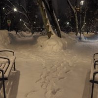 Зимний Вечер :: юрий поляков