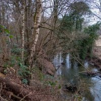 В нехоженых местах... :: Николай Гирш