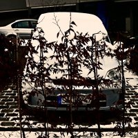 Южная зима - 32 :: Алексей Кузнецов