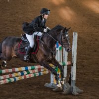 Конкур :: SanSan 