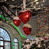 заснеженные сердца :: Галина R... заснеженные сердца :: Галина R...