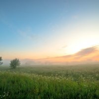 Рождение нового дня. :: Михаил Белоусов