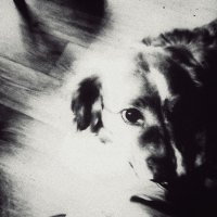 Не помню пароду :: Александр Вадимович Crew smail