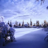 Февраль :: Людмила Смородинская