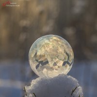 На снегу... :: Андрей Пристяжнюк