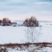 Зимний вечер :: Sergei Vikulov