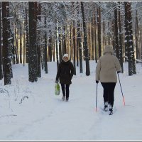 Каждому свое... :: Aleksandr Gal