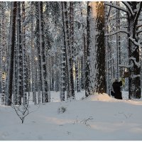 Помочь ближнему :: Aleksandr Gal