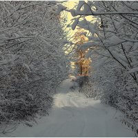 *** :: Aleksandr Gal *** :: Aleksandr Gal