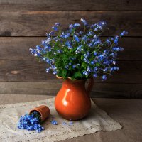 Незабудки :: Владимир Гришин Незабудки :: Владимир Гришин