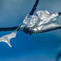 "Русалка" :: Андрей Андрианов