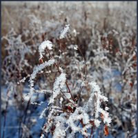 *** :: Александр. AVG100 ---