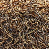 Кто то такое есть :: Георгий А