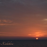 Природа Крыма :: Amazing Cosmea