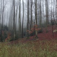 ***** :: Андроник Александр 