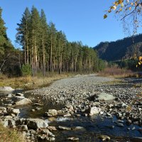 По р.Чемал :: Валерий Медведев По р.Чемал :: Валерий Медведев