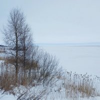 Ладога :: Наталья Герасимова