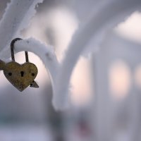 14 февраля :: Андрей C