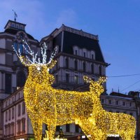 по улице Ленинградской :: Ирина Милонова