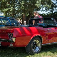 Ford Mustang 1967 :: Олег Зак