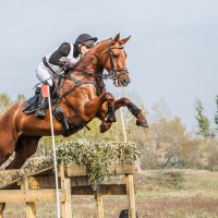 Кросс :: SanSan 