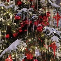 новогодние дни :: Галина R... новогодние дни :: Галина R...