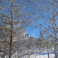 Зимний день :: Андрей Хлопонин