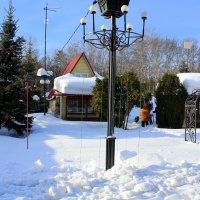 Милый сердцу зимний сад :: Татьяна Лютаева Милый сердцу зимний сад :: Татьяна Лютаева