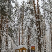 В парке :: Сергей Цветков