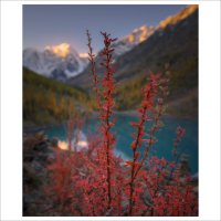 * :: Александр Иванов