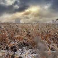 Зимнее творение природы ... :: Ravile 