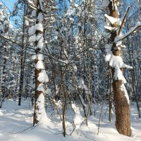 две фигуры :: Владимир 