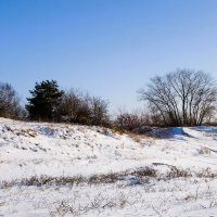 Зимний пейзаж у Балтийского моря :: Рита Симонова