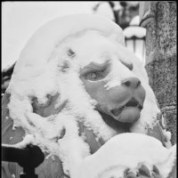 * * * :: Руслан 