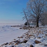 Зимний променад .... :: Татьян@ Ивановна