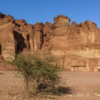 Наследие неогена :: Eugene * Наследие неогена :: Eugene *