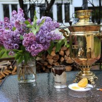 Сирень :: Владимир Гришин