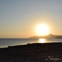 Природа Крыма :: Amazing Cosmea Природа Крыма :: Amazing Cosmea