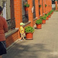 Как Олежка проводит слежку :: Gen Vel