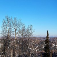 Прекрасный день!!! :: Радмир Арсеньев