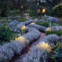 дачный дизайн :: МАРИЯ ПОПОВА