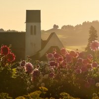 morning :: Elena Wymann