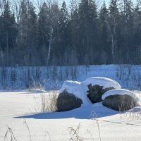 Три толстяка :: Ольга Савельева 